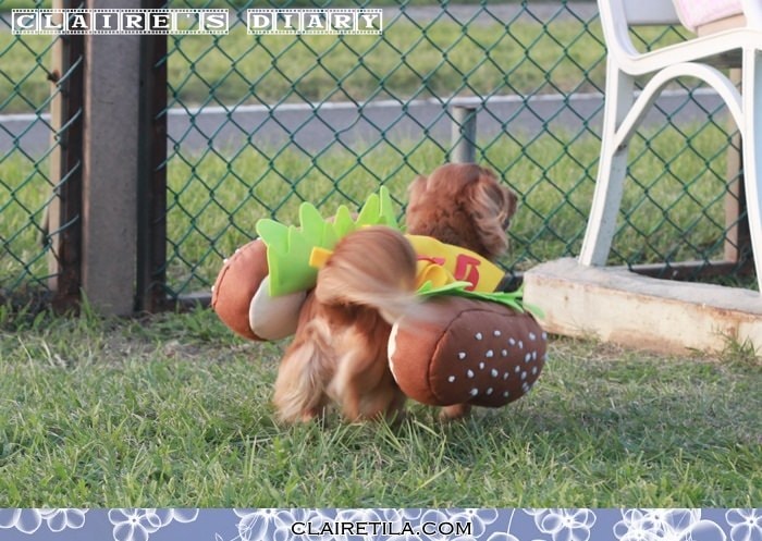 20251024-c5wq5 20251024-c5wq5