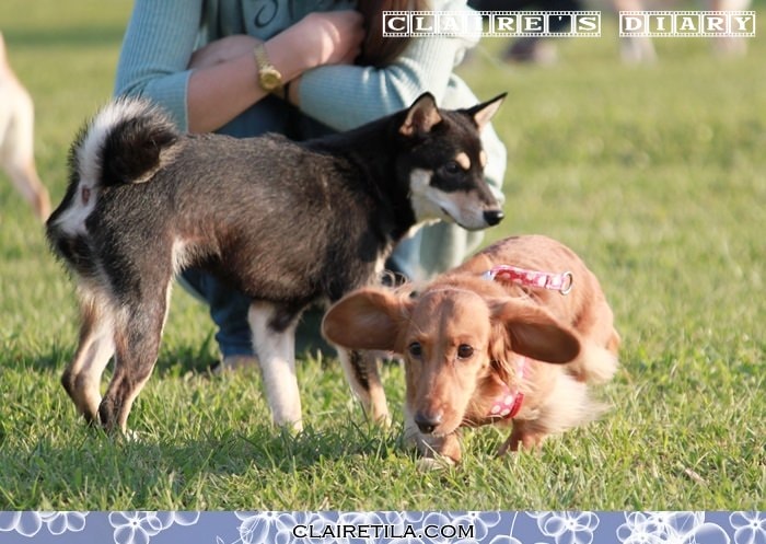 20251024-dy9sm 20251024-dy9sm