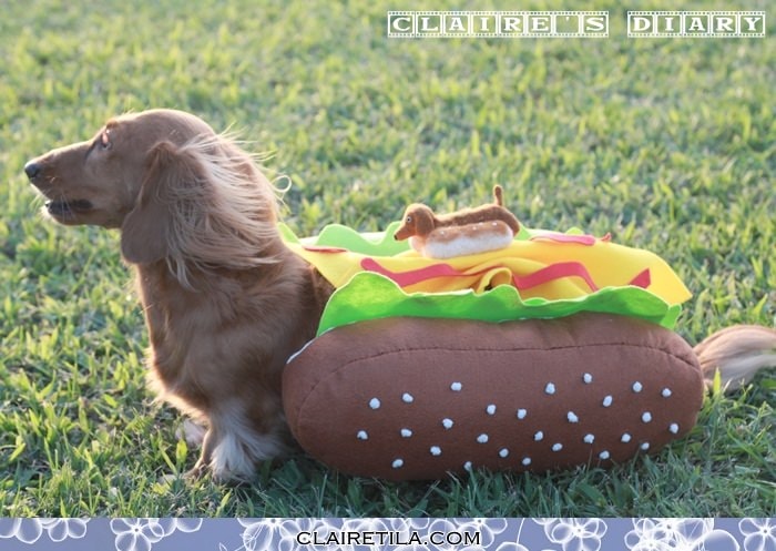 20251024-epxbb 20251024-epxbb