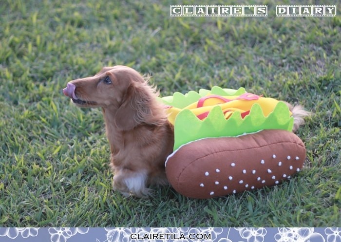 20251024-ffjog 20251024-ffjog