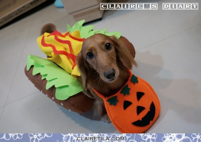 20251024-fjqmv 20251024-fjqmv