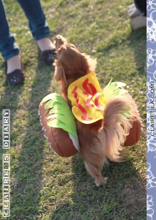 20251024-fvyoh 20251024-fvyoh