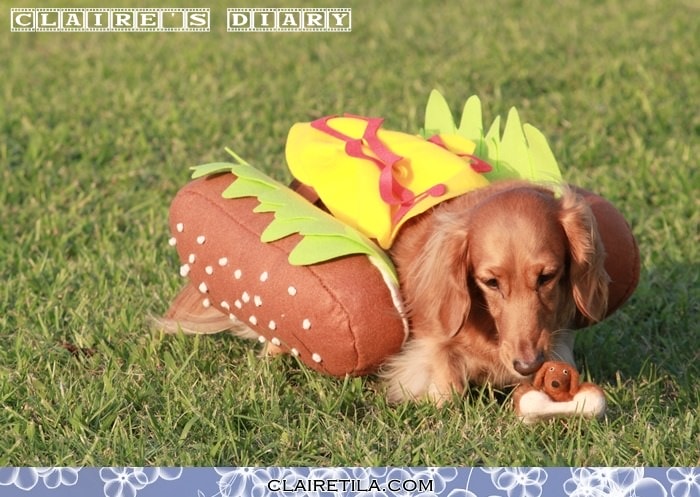 20251024-jyyy3 20251024-jyyy3