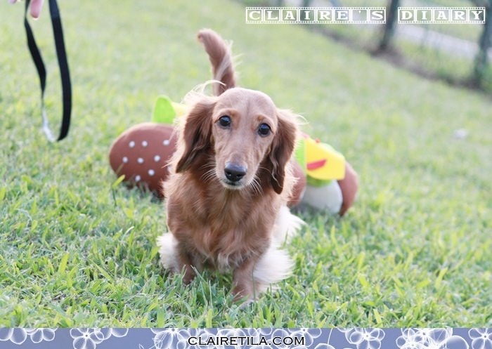 20251024-md6b9 20251024-md6b9