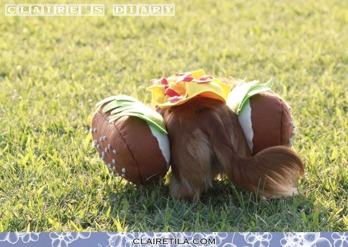 20251024-o7vtx 20251024-o7vtx