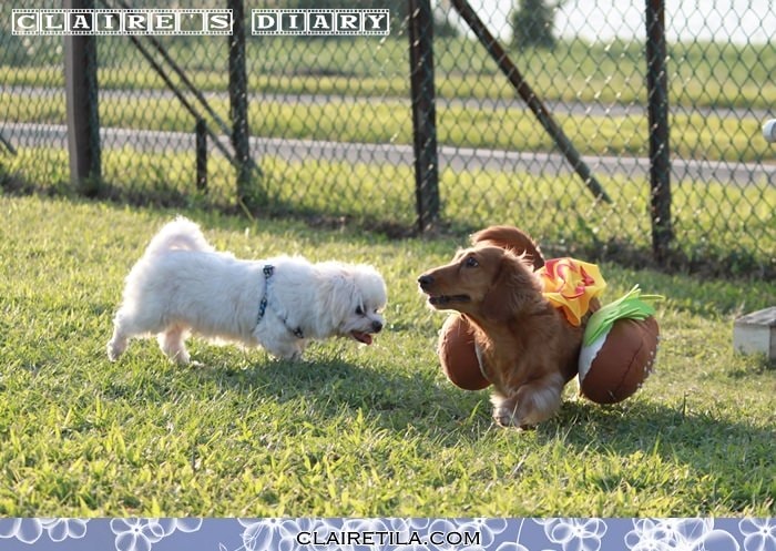 20251024-ppfxk 20251024-ppfxk