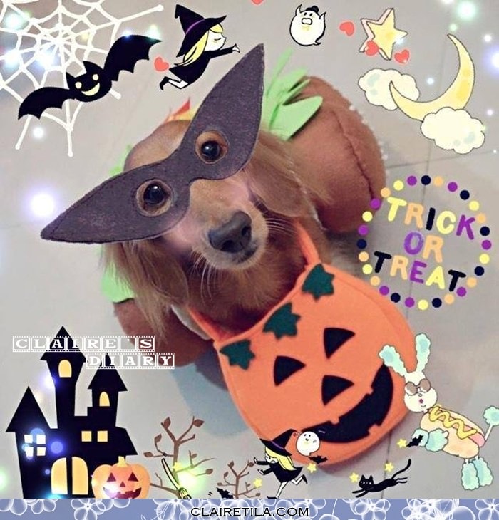 20251024-qap51 20251024-qap51