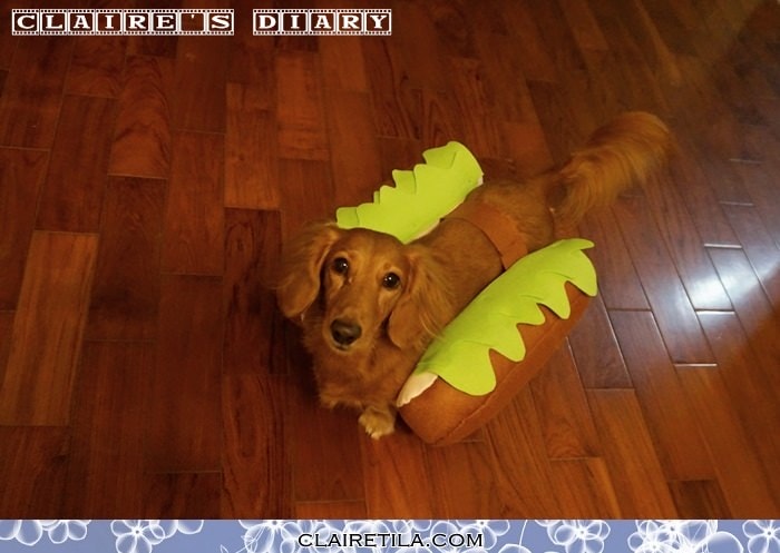 20251024-r1r9z 20251024-r1r9z