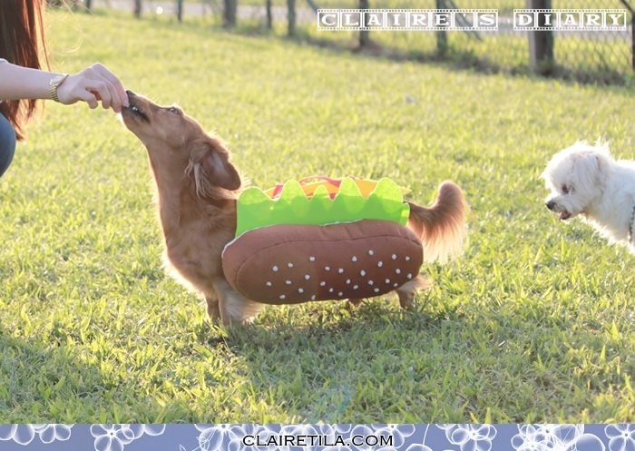 20251024-rgk1v 20251024-rgk1v