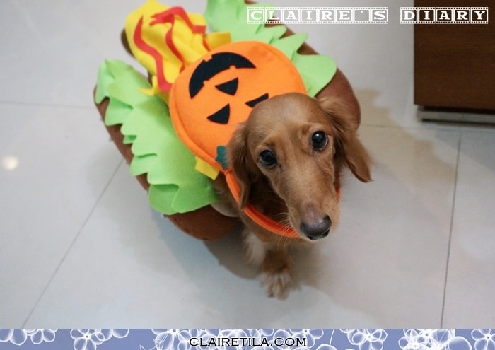 20251024-rrssw 20251024-rrssw