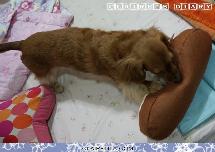 20251024-sexui 20251024-sexui