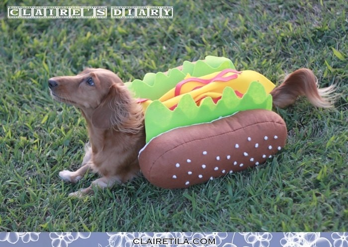 20251024-sjtod 20251024-sjtod