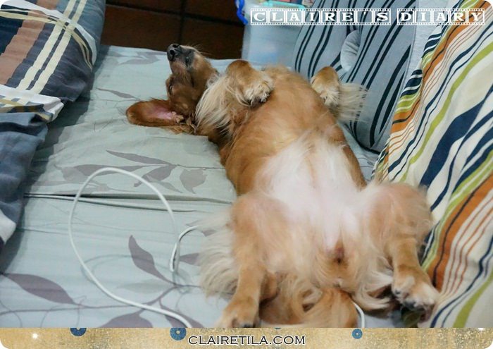 20251024-sy6u1 20251024-sy6u1