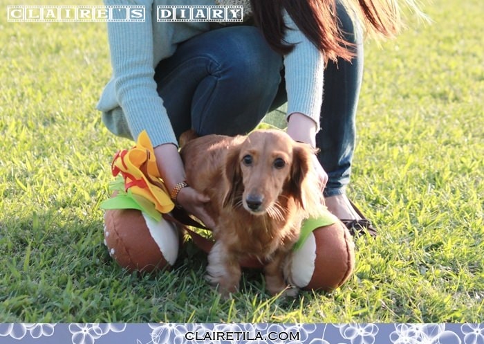 20251024-tlt5m 20251024-tlt5m