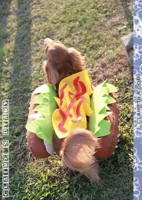 20251024-uby6i 20251024-uby6i