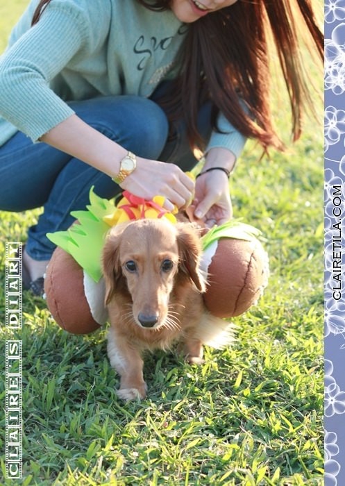 20251024-vvfj5 20251024-vvfj5