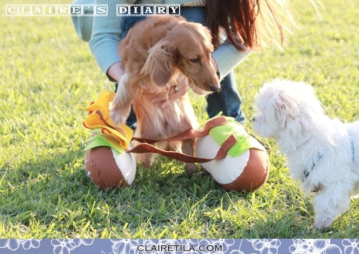 20251024-wiw7v 20251024-wiw7v