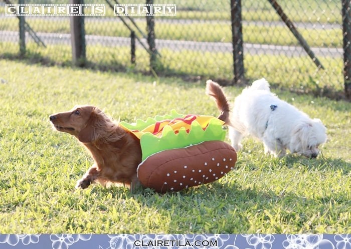 20251024-xjd1y 20251024-xjd1y