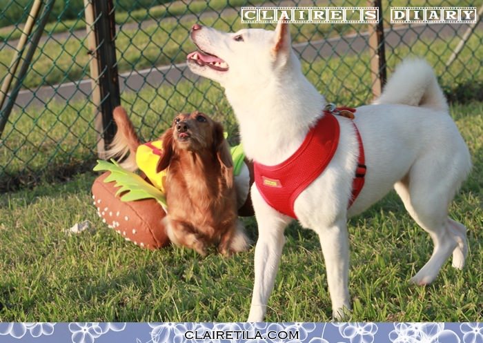 20251024-z36db 20251024-z36db