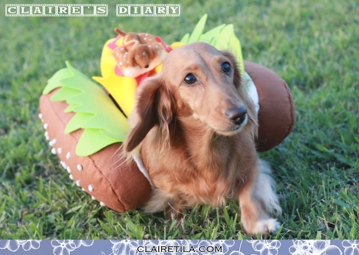 20251024-zi5qf 20251024-zi5qf