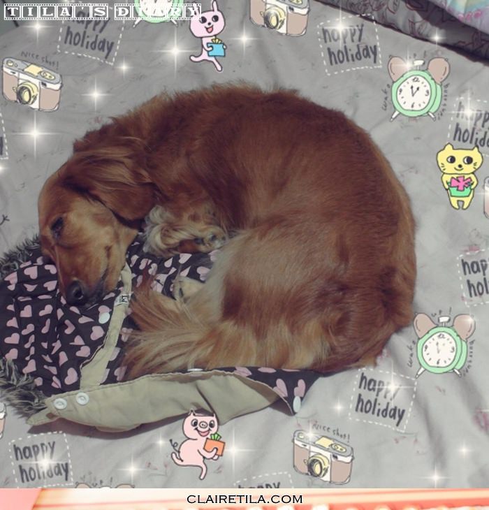 20251024-4ldyo 20251024-4ldyo