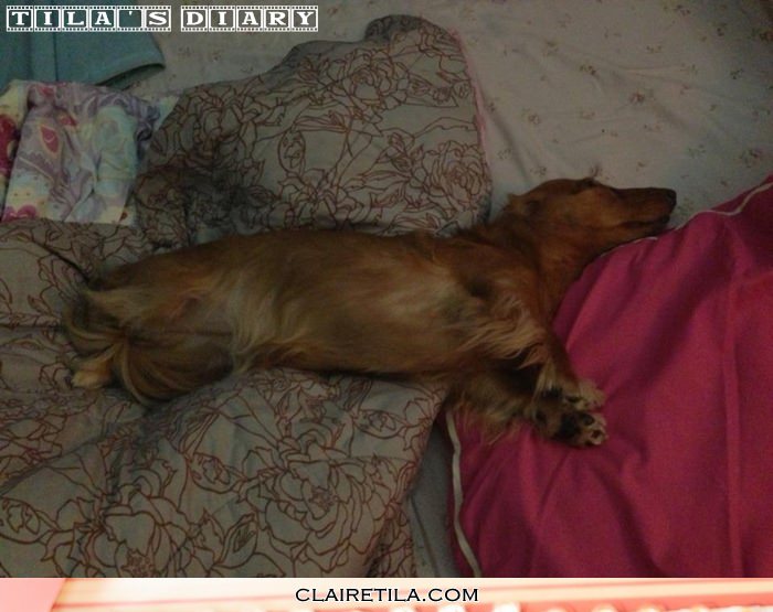 20251024-4r3lf 20251024-4r3lf