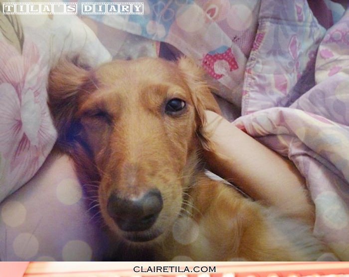 20251024-4ritt 20251024-4ritt