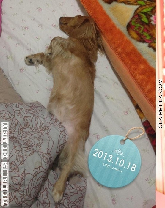 20251024-5wmxs 20251024-5wmxs