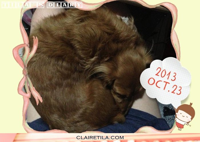 20251024-8baoh 20251024-8baoh