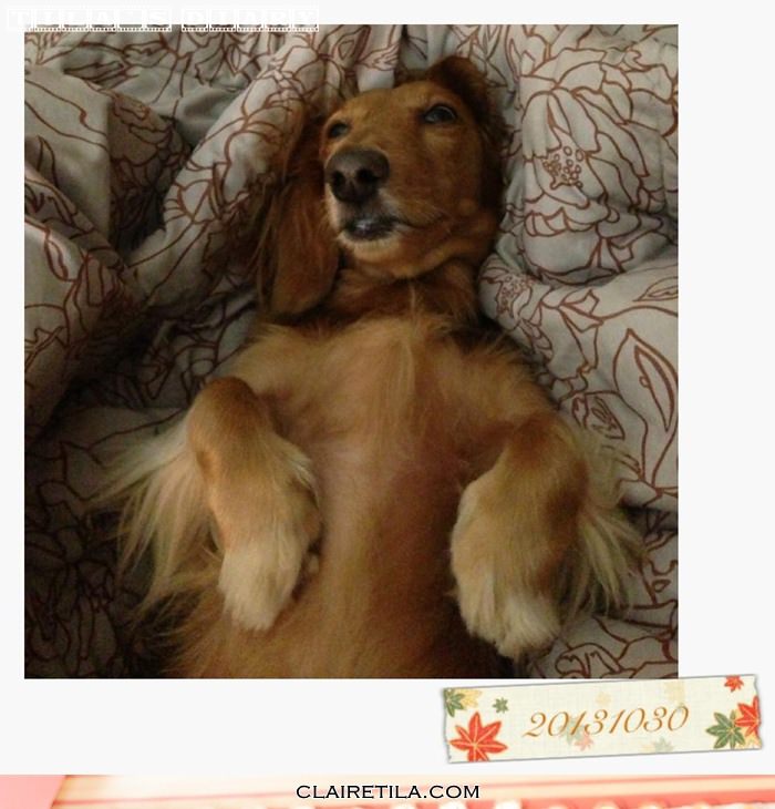 20251024-8dzf5 20251024-8dzf5