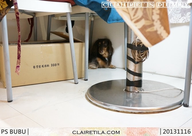 20251024-dbg80 20251024-dbg80