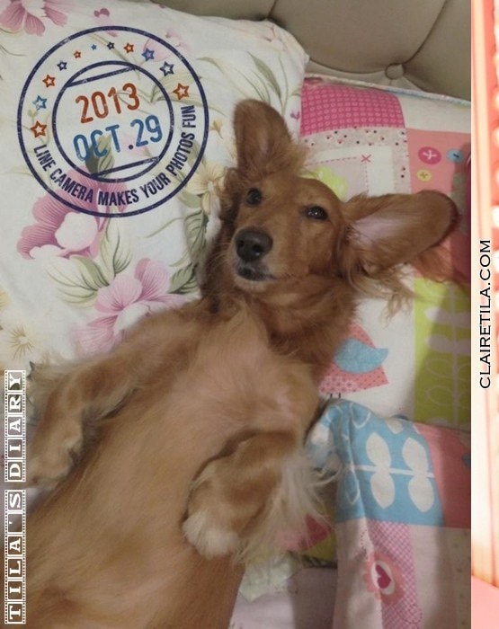 20251024-em59f 20251024-em59f