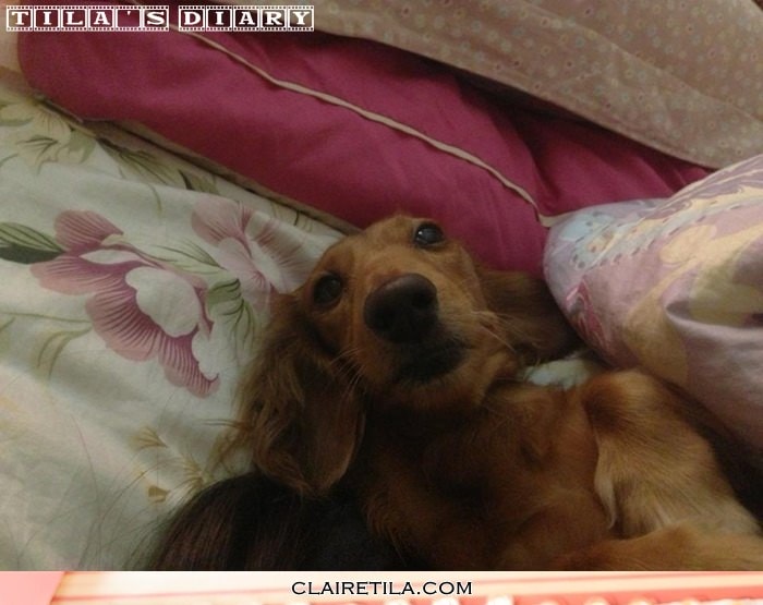 20251024-falgh 20251024-falgh