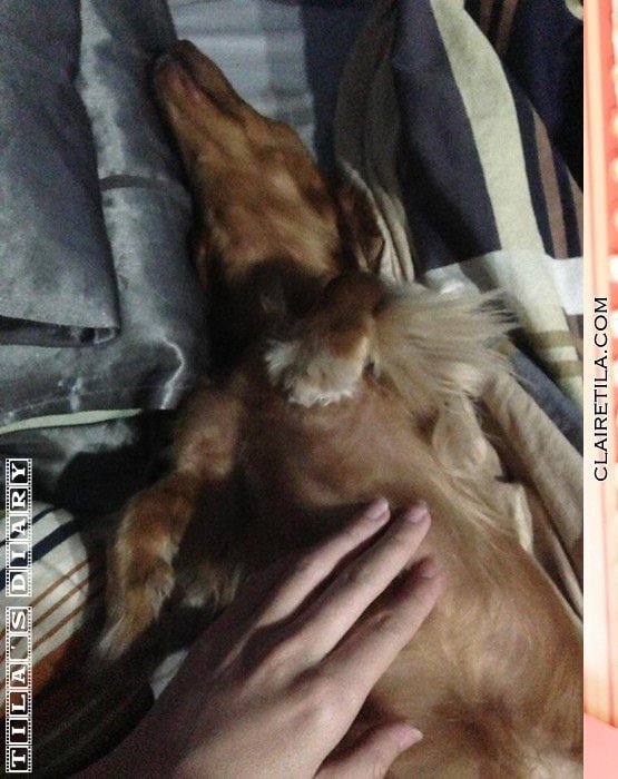 20251024-p37q4 20251024-p37q4