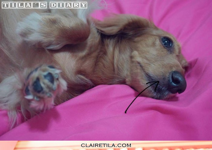 20251024-pc2mb 20251024-pc2mb