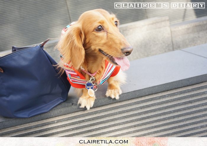 20251024-uxqop 20251024-uxqop