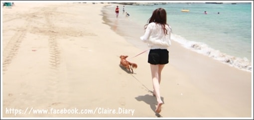 20251024-xs19d 20251024-xs19d