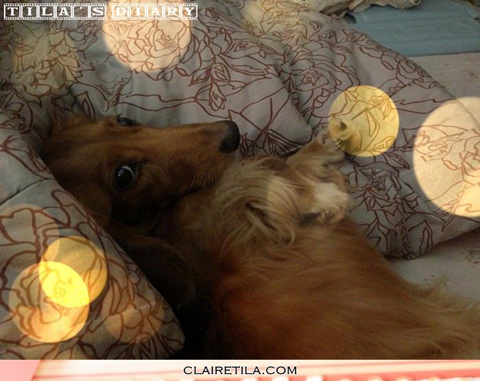 20251024-xwlau 20251024-xwlau