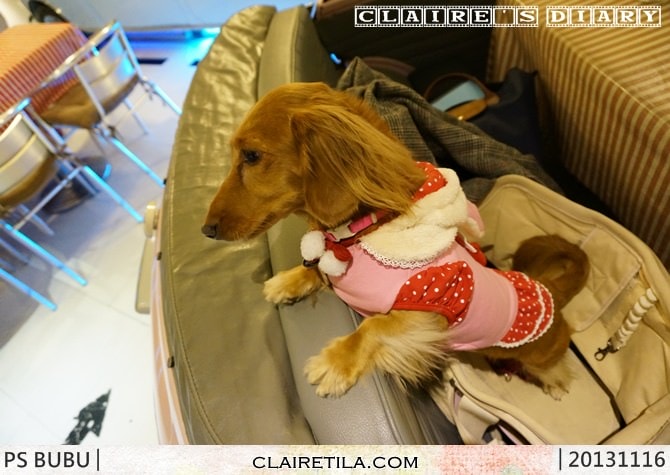 20251024-yp5ra 20251024-yp5ra