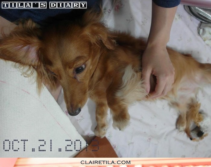 20251024-zqwh8 20251024-zqwh8