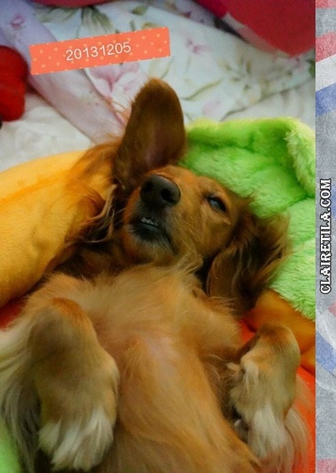 20251024-0lx1t 20251024-0lx1t