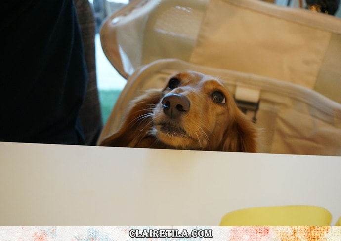 20251024-1s5rp 20251024-1s5rp