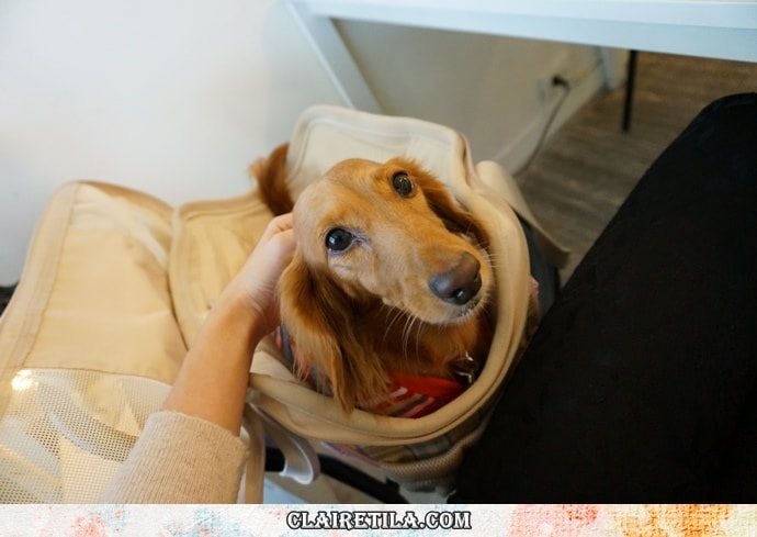 20251024-2wsy5 20251024-2wsy5