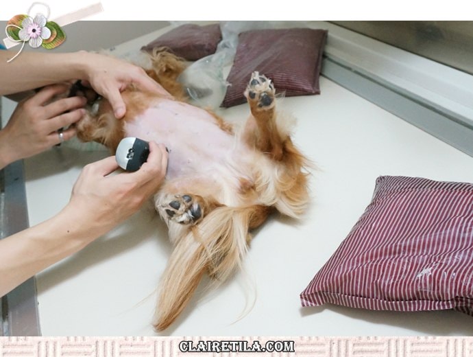 20251024-4chq6 20251024-4chq6