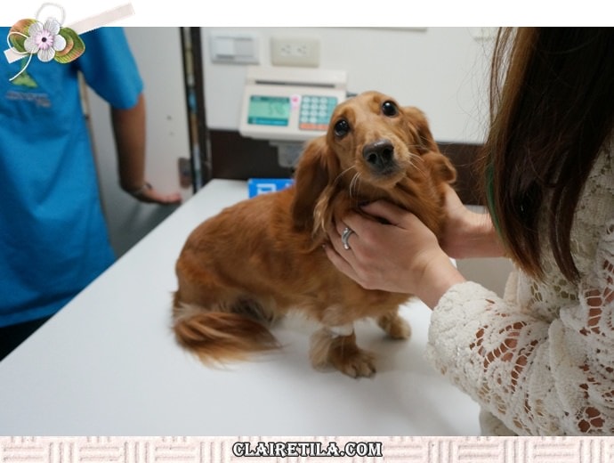 20251024-4ftqu 20251024-4ftqu