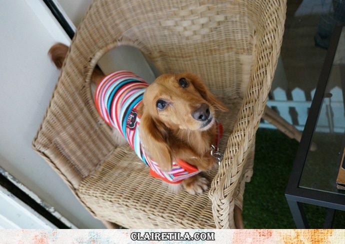 20251024-4n8ht 20251024-4n8ht