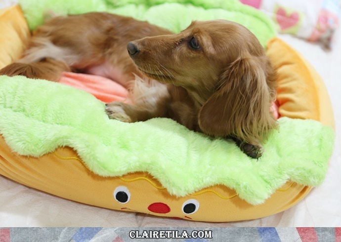 20251024-4rzdg 20251024-4rzdg