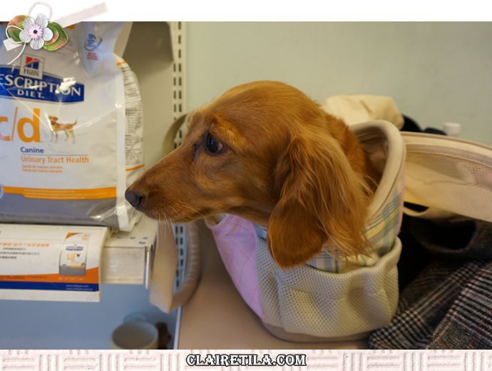 20251024-4t0a5 20251024-4t0a5