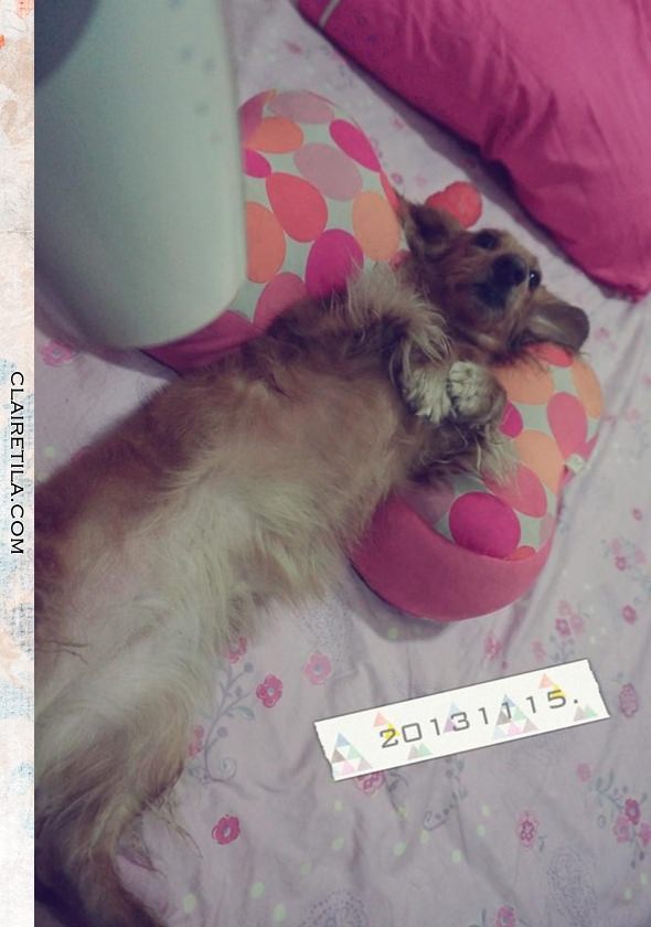 20251024-5odj4 20251024-5odj4