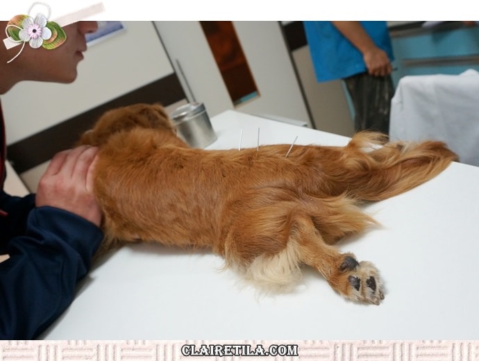 20251024-5vdtt 20251024-5vdtt